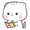 Cutie Cat 24