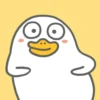 Duck Duck 27