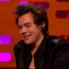 HARRY SтYlES 24
