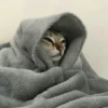 Cute Animals 12