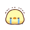 Cute Chick 29