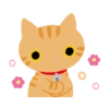 Kutsushita Nyanko: What a Meowthful 24
