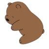 Bear Bear 30