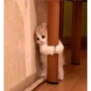 Almost sad cats 5