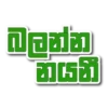టీడ