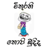 23 බුදි