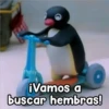 Persy
¡Vamos a
buscar hembras!