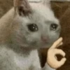 Almost sad cats 8