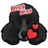 SS!X
Kiss