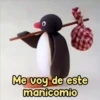 Persy
Me voy de este
manicomio