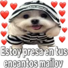 JAILBIRD
Fabiola
Estoy presa en tus
encantos mailov