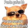 Ponte gafas bb
rabiola
Porque nuestro
futuro se ve brillante
