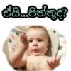 ඒයි...පිත්තූද?