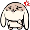 Little Crazy Dog 11