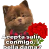 Fabiola
Acepta salir
conmigo,
bella dama?