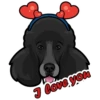 I love you