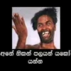 අනේ නිකන් පලයන් යකෝ යන්න
