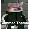 MESHAMSTER Gammac Thamai Ithin