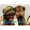 බටුවන් හින