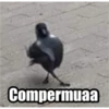 variados 9