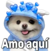 Fabiola
Amo aquí
