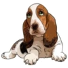 Stickers For Dog Lovers 1 14