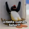 Persy
i&Hasta cuándo,
Señor?!