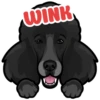 WINK