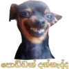 පොඩ්ඩක් දන්නැද්ද