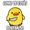 pollo tóxico 14