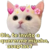 Fabiola
Ola, te invito a
quererme musho,
aseptas?