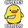 pollo tóxico 15