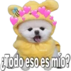 Fabiola
¿Todo eso es mío?