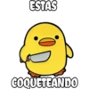 pollo tóxico 16