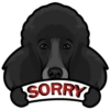 SORRY