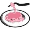 Q