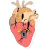 Heart Hacker 12