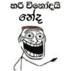 හරි විනෝදයි නේද