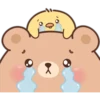 Little Bear Latte & Chiky Cute 13