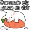 Bunny 2  (Melissa) 9