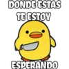 pollo tóxico 21