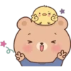 Little Bear Latte & Chiky Cute 14