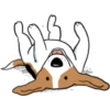Stickers For Dog Lovers 1 20