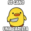 pollo tóxico 22