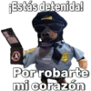 ¡Estás detenida!
Fabiola
1
WOPD
Por robarte
mi corazón