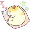 Zz
N