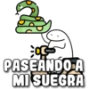 PASEANDO A
MI SUEGRA