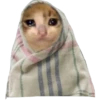 Almost sad cats 13