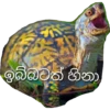 ඉබ්බටත් හිනා