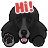 Hi!